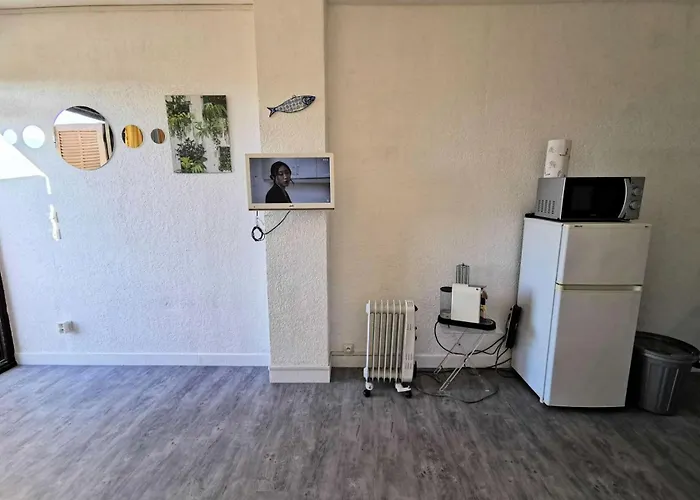 아파트 Maisons De La 2 - Joli Pour 3 Personnes Avec Terrasse En Rez De Chaussee A Port Leucate. Ref: 1mm2_239 Mae-4984